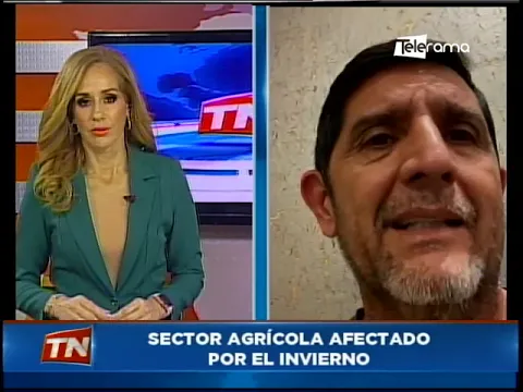 Ing. Kléber Sigüenza 