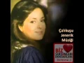 Download Lagu Esin Engin - Çalıkuşu Dizi Müziği