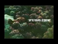 Download Lagu Lana Del Rey - Say Yes To Heaven (Extended Mix)