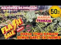 Download Lagu LAMA GA KESINI LANGSUNG DIKASIH HARGA PROMO DAHSYAT. SELALU PENGEN BORONG… eps 1347