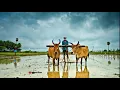 Download Lagu Kisan status.kisan WhatsApp status.facebook story.kisan song.jai Jawan Jai kisan
