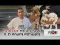 Download Lagu OWNER HILANG TANPA JEJAK, 35 ANJING INI HIDUP DALAM KELAPARAN