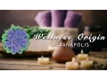 Wellness Origin Luxury Organic Day Spa Indianapolis in Carmel Indiana