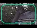 Thousands of Pennsylvanians wake up without power after storm damage
