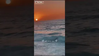 حبيت ملامحك كلها  حبيت ملامحك كلها  خلصت  عمرو دياب دندنها