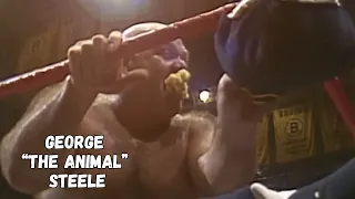 George The Animal Steele S Greatest Matches Of 1986 Macho Man Rivalry More 