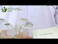 Discover Traditional Chinese Medicine TCM Beijing Well Being Acupuncture Therapy Center Dubai