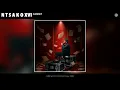 N T S A K O XVI - DAMMIT (Official Audio)