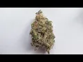 Strain Review - MAC by Capulator