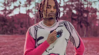 playboi carti flatbed freestyle instrumental slowed reverb 