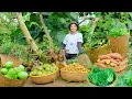 Download Lagu Full Video: Harvesting Rosette Tatsoi, Sweet Potato, Chocolate Pepper, Vietnamese Herbs, Fig,...