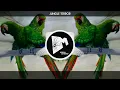 Download Lagu TOP 10 JUNGLE TERROR DROPS (April 2023)