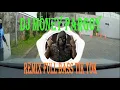 Download Lagu DJ Money Pargoy Remix Full Bass Tik Tok