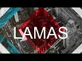 Meu Erro - Lyrics - Paralamas Do Sucesso & Zizi Possi