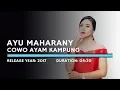 Download Lagu Ayu Maharany - Cowok Ayam Kampung (Lyric)