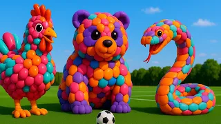 The mascot vibrato assistant dog placed on the football field is popular, co-produced, and creative