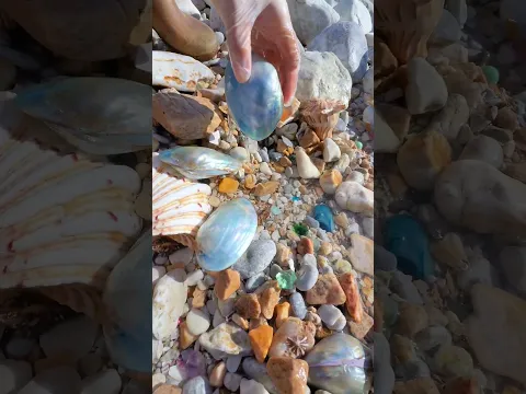 Sea Agate and Sea Crystal: Finding Hidden Treasures on the Shore and rare pearl