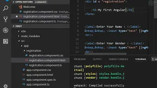 AngularJS First Application