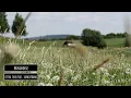 Of The Trees Feat. Sophie Marks - Windhorse