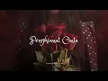 Download Lagu Penghianat Cinta - Akar Bunga (Video Music)