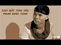 Lagu Cạm Bẫy Tình Yêu( Lyrics) | Phan Đinh Tùng