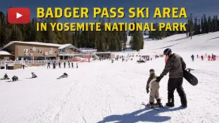 All about Badger Pass Ski Area in Yosemite National Park