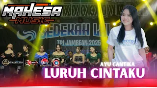 luruh cintaku ayu cantika mahesa music tpi jambean 2025