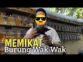 Download Lagu Mikat #Burung Wak-Wak guna suara MP3. Tak sampai 5 minit dah dapat.