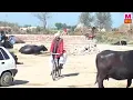 Haryanvi comedy ramer Randa