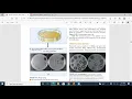 Microbiology Exam 2 SI Session