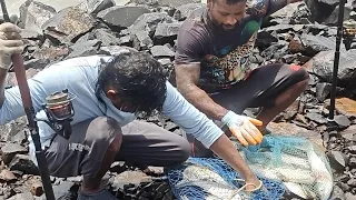 Danger fishing Dharam Aquarium is live