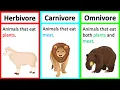 Herbivore Carnivore Omnivore Types of animals What s the difference