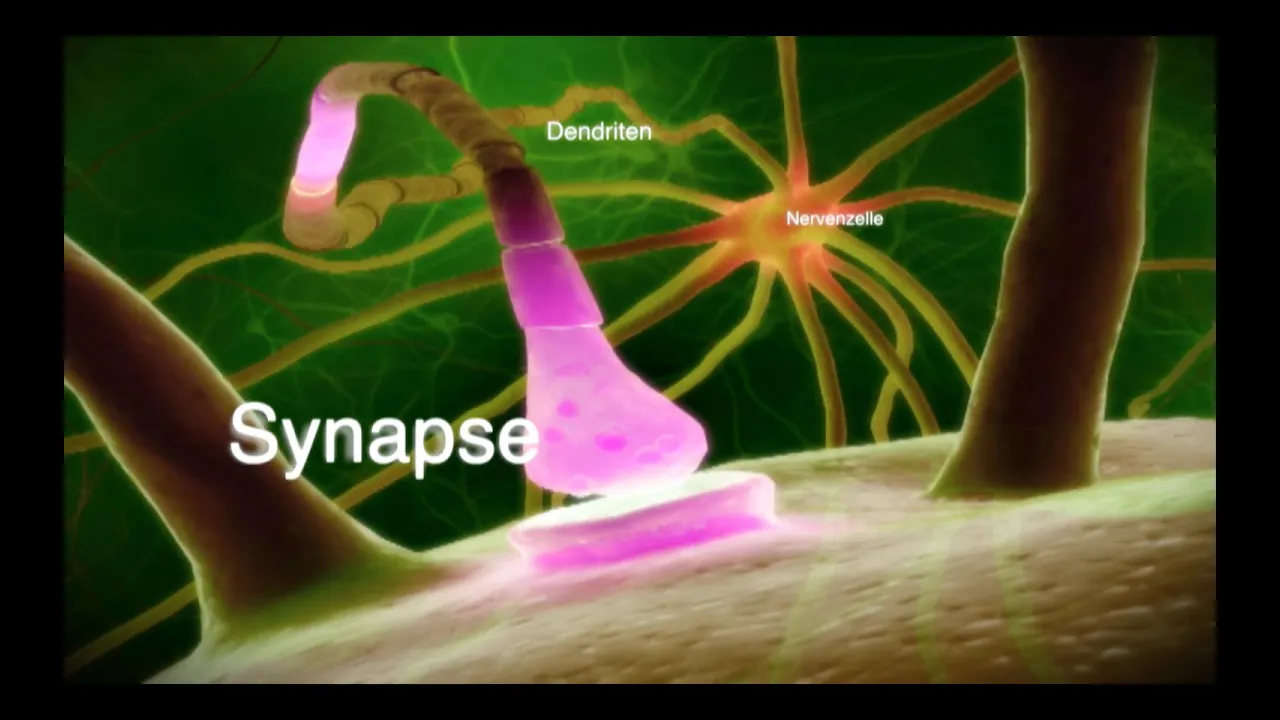 1 Rauchfrei - Schäden vermeiden muss nicht schwer sein
