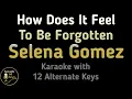 Download Lagu Selena Gomez How Does It Feel To Be Forgotten Karaoke Instrumental Lower Higher Male \u0026 Original Key