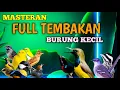 Download Lagu 2 jam masteran BURUNG KECIL full tembakan kasar rapat suara jernih mudah di tiru