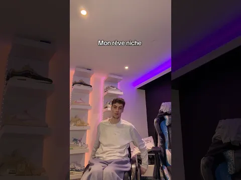 Mon rêve niche en fauteuil roulant