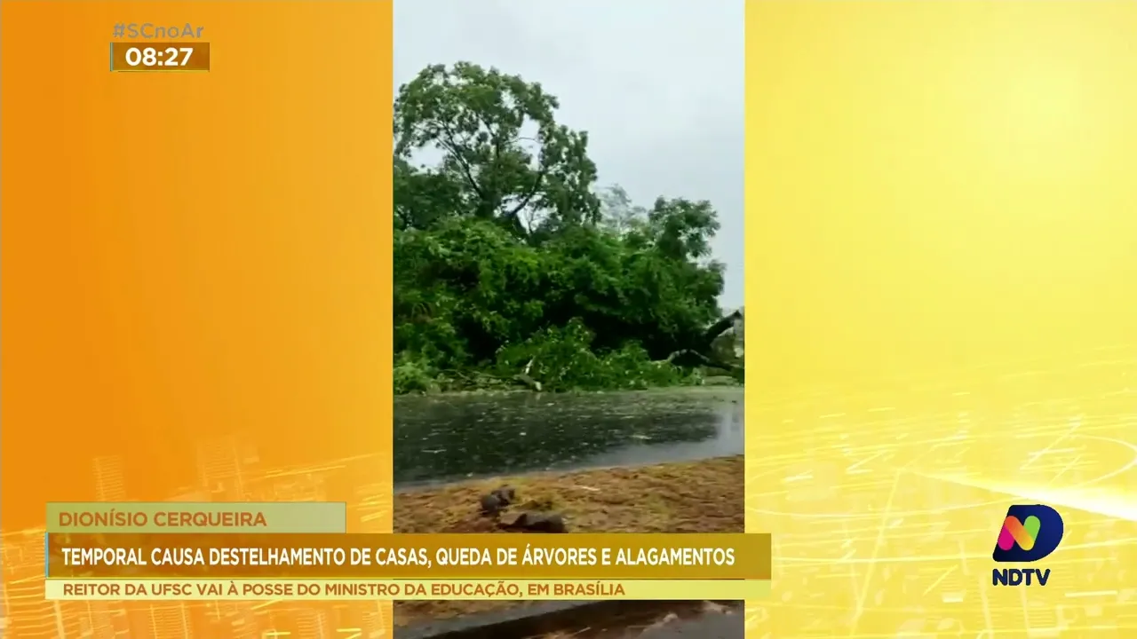 Temporal causa destelhamento de casas, queda de árvores e alagamentos em Dionísio Cerqueira