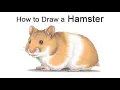 How to Draw a Hamster Colored Pencil Tutorial