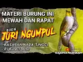 Download Lagu BIKIN JURI NGUMPUL!! Masteran Kasaran Nada TINGGI - MASTERAN Tembakan RAPAT Untuk BURUNG LOMBA