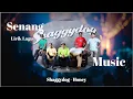 Download Lagu Shaggydog - Honey, Ketika sepi datang Melanda hatiku (Lirik lagu)