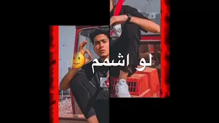  حالات واتس  ايموفي  حمو الطيخا  كومديه انتي وضحكتيني  الجديد  دندنها