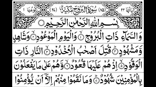                                                                 دندنها