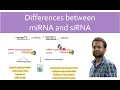 Download Lagu Difference between miRNA and siRNA. miRNA vs siRNA