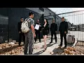 Download Lagu 被列為囚龍島頭號囚犯的竟是個手無縛雞之力的窮小伙！被羞辱退婚後一掌擊退兩大邪神，四大美女爭搶做妾侍候他只為能振興家族#龙神下山退婚