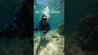 Testing out the new wetsuit and gloves from hammerhead spearguns. #sailingbyefelicia