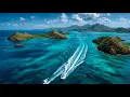 Aloha Reggae Vibes 2025 🌞🌴 Chill Summer Sounds – Best Reggae Beach Mix