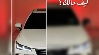 شيله   كيف حالك   مسرع   دندنها