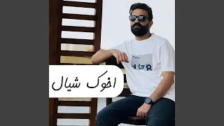 اخوك شيال باشا مصر 