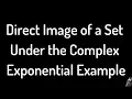 Graph the Direct Image of a Set Under the Complex Exponential Function Example
