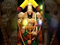 Download Lagu Tirupati balaji darshan | tirupati balaji status 🙏 #tirupatibalaji #darshan #status